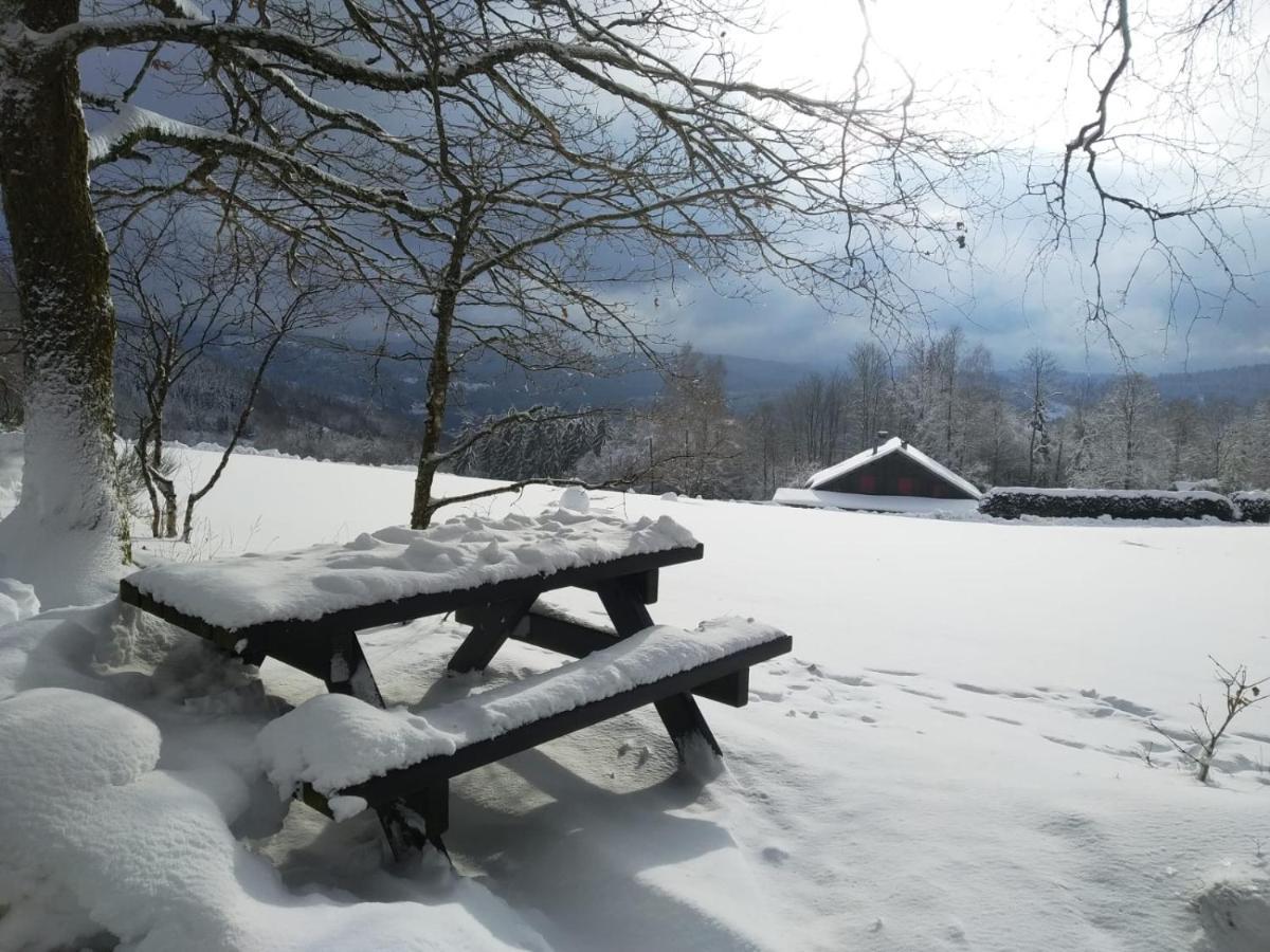 Individuel - Panoramique Montagnes & Proche Chalet *