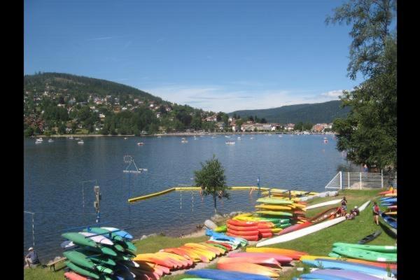 Individuel - Panoramique Montagnes & Proche Chalet La Bresse