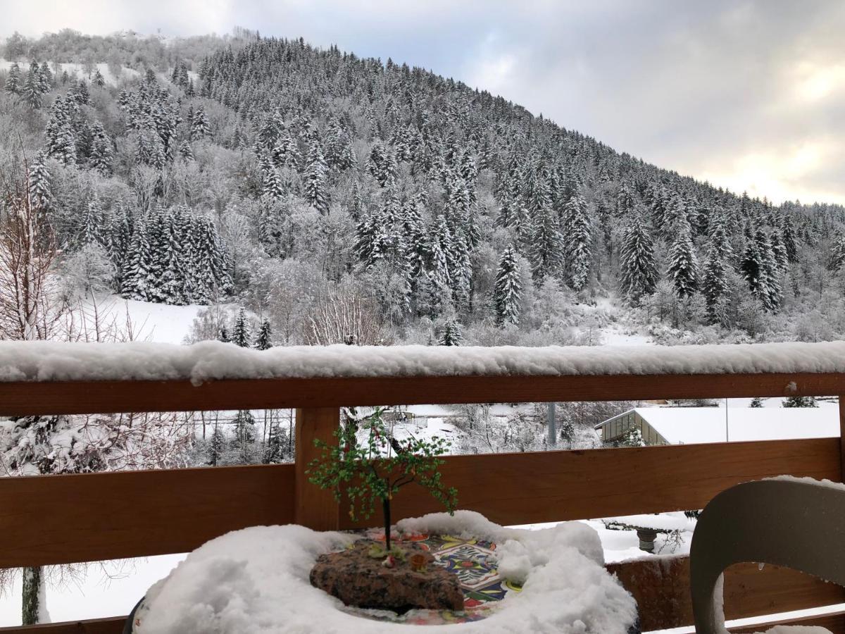Chalet Individuel - Panoramique Montagnes & Proche La Bresse